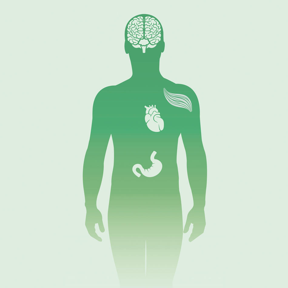 Les symptômes typiques du stress chronique